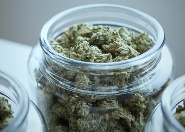 Cannabis: le Sezioni Unite chiariscono alcune questioni